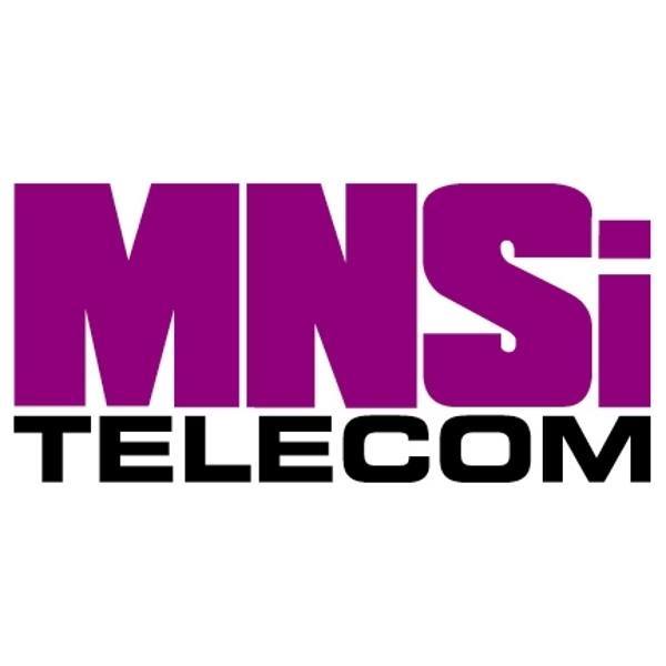 (c) Mnsi.net